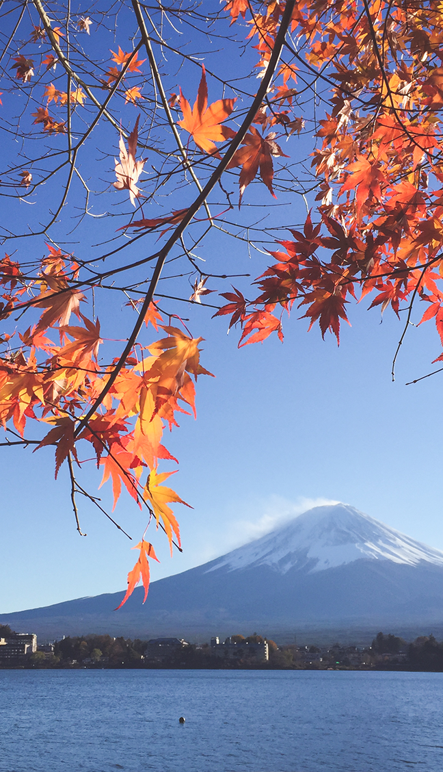 インバウンド向け旅行手配